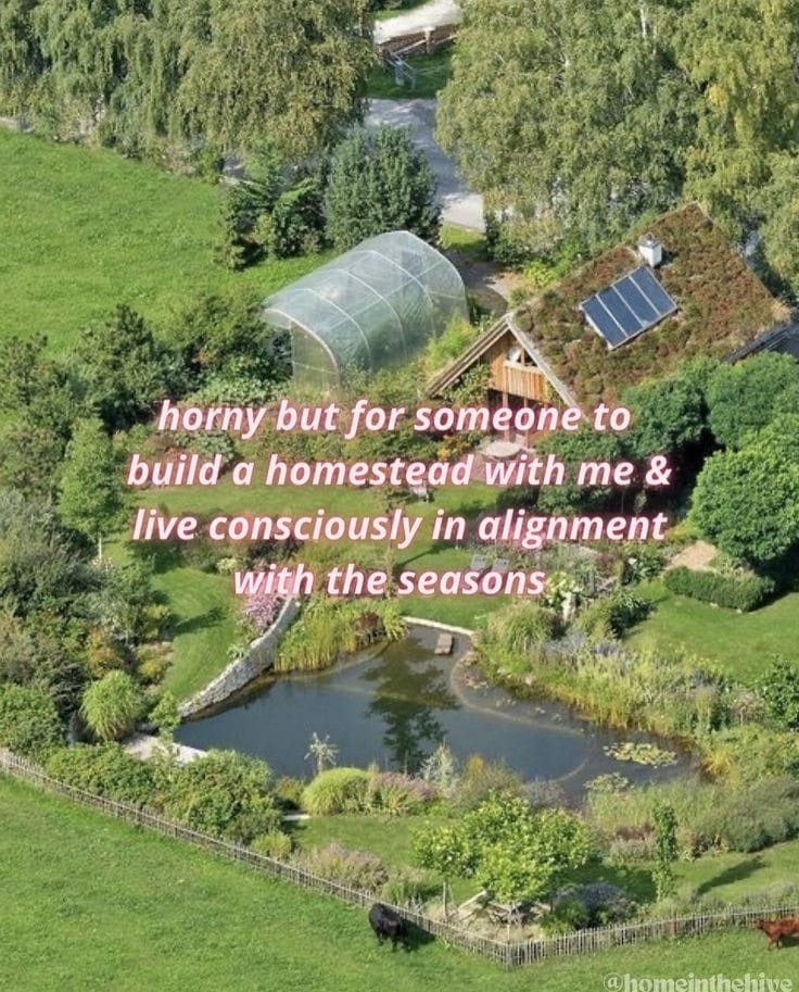 This meme is a humorous take on the idea of a romantic relationship. The text reads "horny but for someone to build a homestead with me & live consciously in alignment with the seasons" and is presented in a playful, handwritten font. The image is not actually needed to understand the joke, as the text is the main point of the meme.